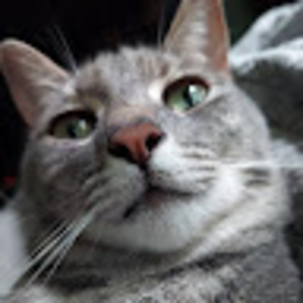 Meet your Posher, Jen